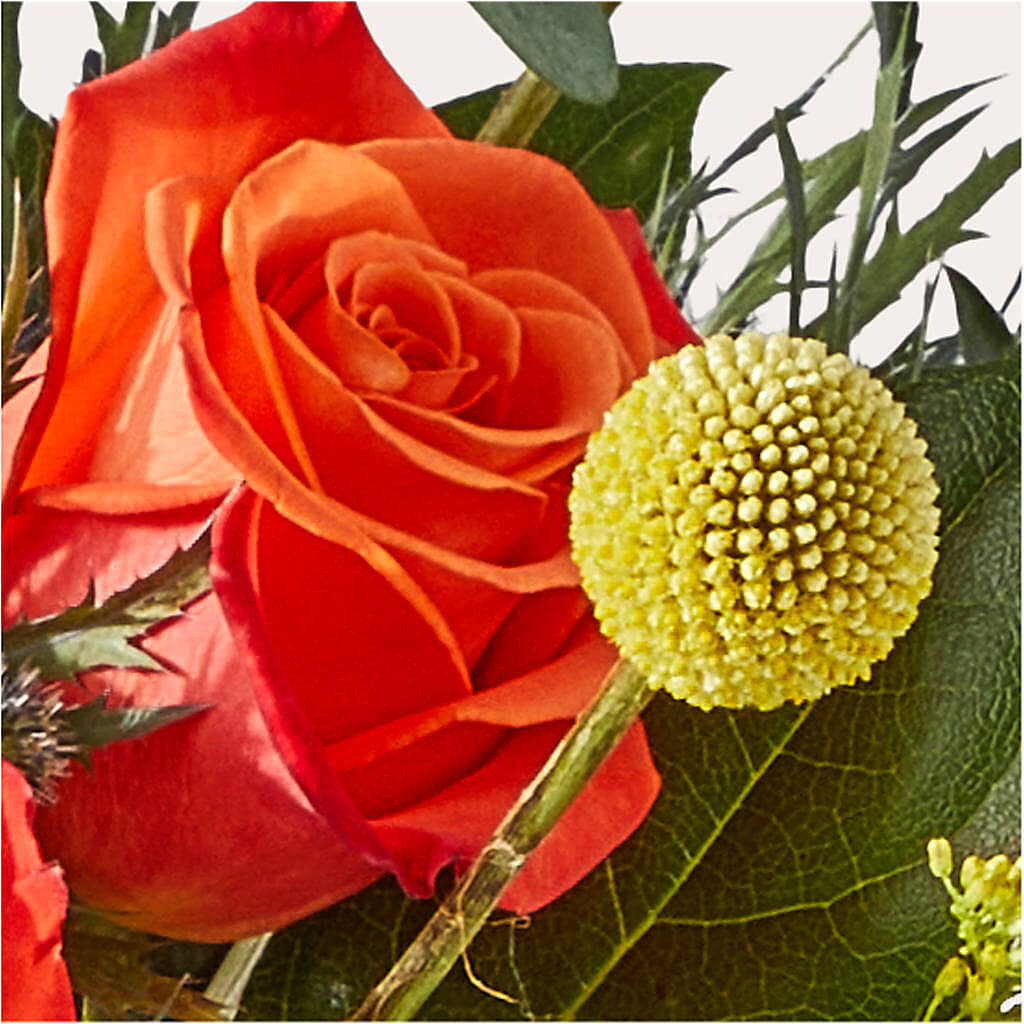 Disco Bouquet –  Longview Flower Shop, Longview TX