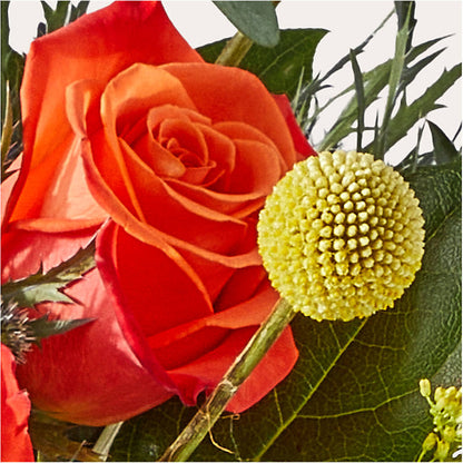 Disco Bouquet –  Longview Flower Shop, Longview TX