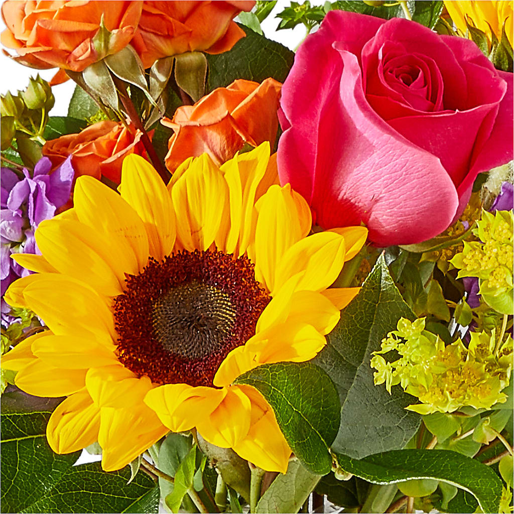 Vibrant Greetings Bouquet –  Longview Flower Shop, Longview TX