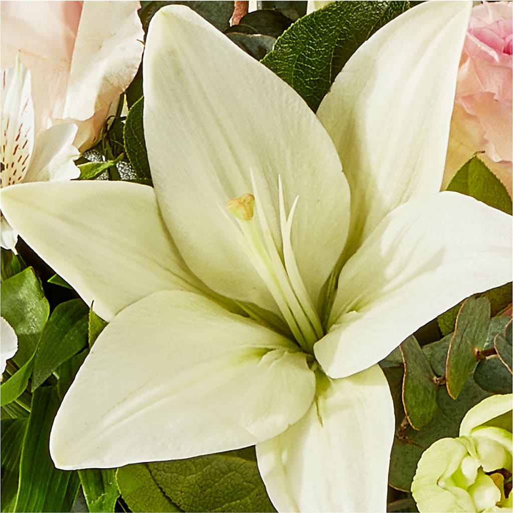 Ballet Slippers Bouquet –  Longview Flower Shop, Longview TX