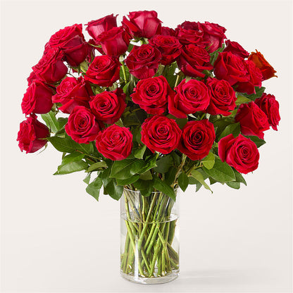 The One Red Rose Bouquet –  Longview Flower Shop, Longview TX