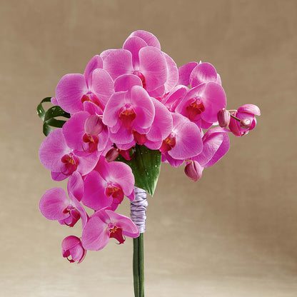 Glorious Bouquet –  Longview Flower Shop, Longview TX