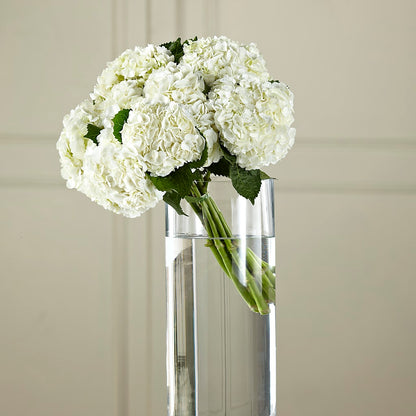 White Hydrangea Hand-Tied Bouquet –  Longview Flower Shop, Longview TX