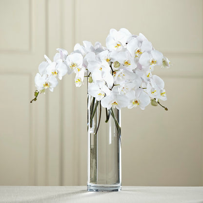 White Phalaenopsis Bouquet –  Longview Flower Shop, Longview TX