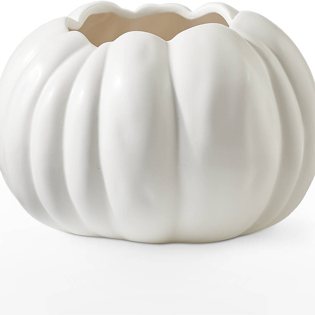 Autumn Air Pumpkin Bouquet –  Longview Flower Shop, Longview TX